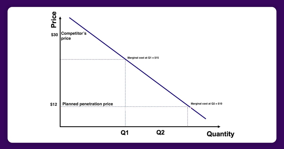 penetration-pricing-theory