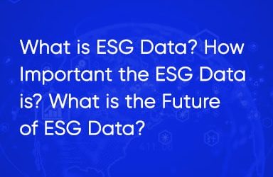 What Is Esg Data? How Important The ESG Data Is? What Is The Future Of ESG Data?